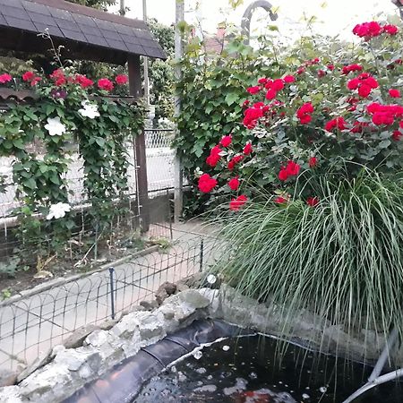Apartment Zorec マリボル エクステリア 写真
