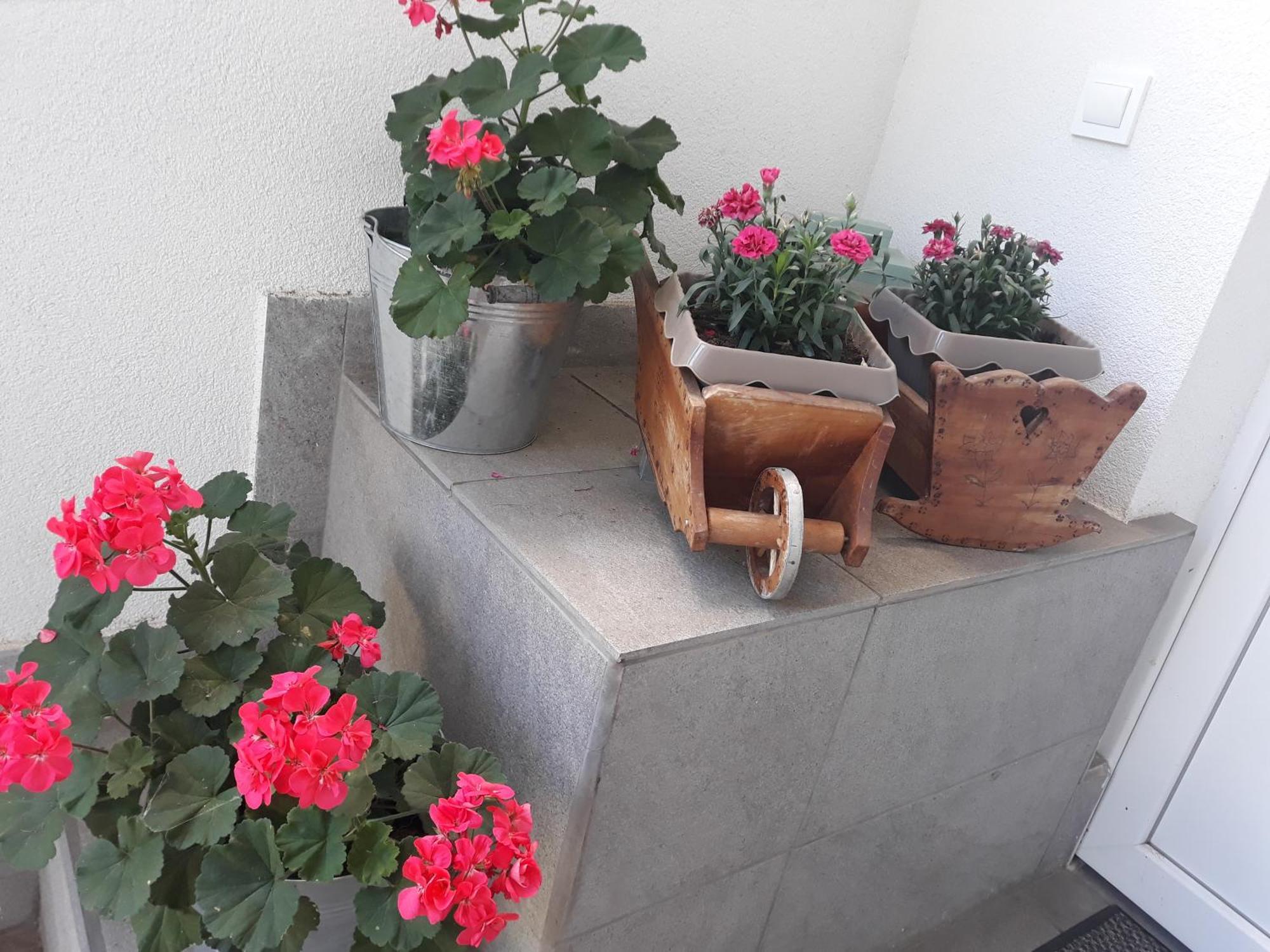 Apartment Zorec マリボル エクステリア 写真