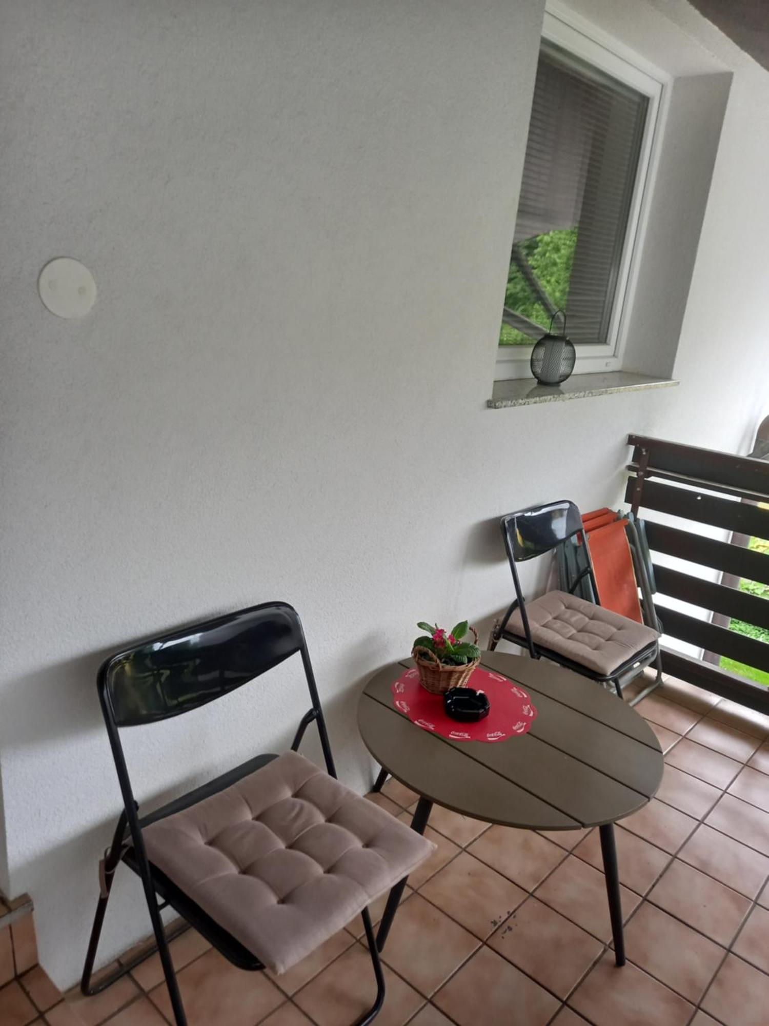 Apartment Zorec マリボル エクステリア 写真